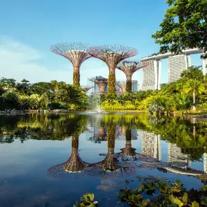Dragonfly Lake at The Greens