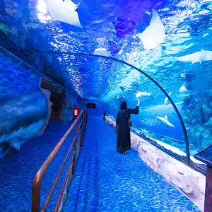 Dubai Aquarium and Underwater Zoo