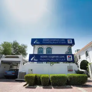 The Veterinary Hospital - Al Wasl Road