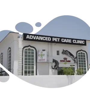 Dubai Pet Care Veterinary Clinic