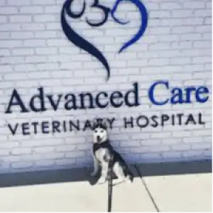 Advanced Care Veterinary Clinic