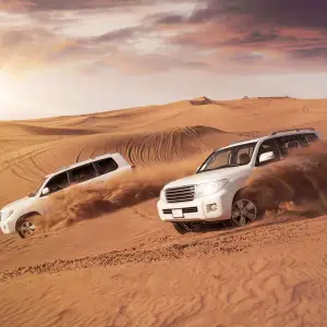 Safari Dubai