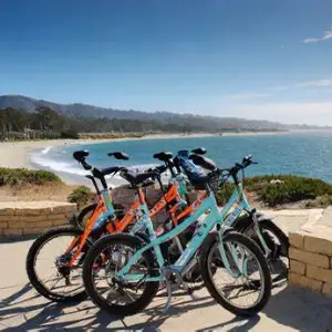 Rove Bike Rentals