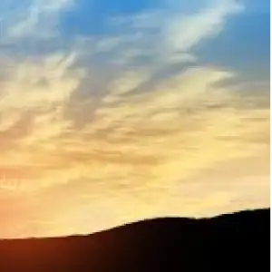 ProScribe Middle East