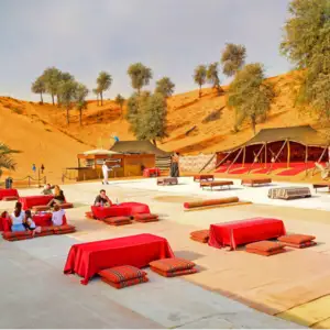 Bedouin Oasis Camp