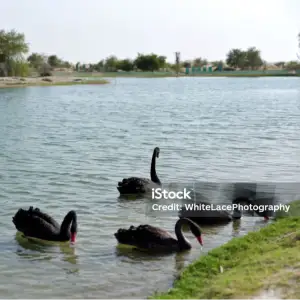 Al Qudra Lakes