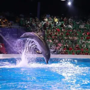 Dubai Dolphinarium