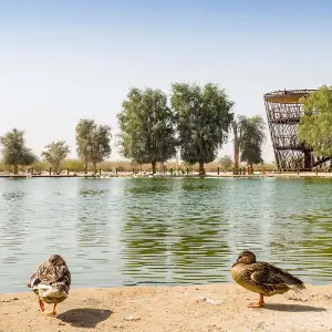 Al Qudra Lakes