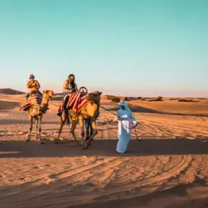 Al Marmoom Desert Conservation Reserve