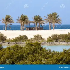 Sir Bani Yas Island Mangroves, Abu Dhabi