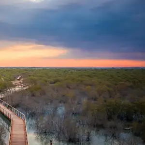 Al Bateen Mangrove Park, Abu Dhabi
