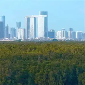 Mina Zayed Mangroves, Abu Dhabi