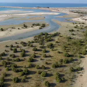Jebel Ali Mangroves, Dubai