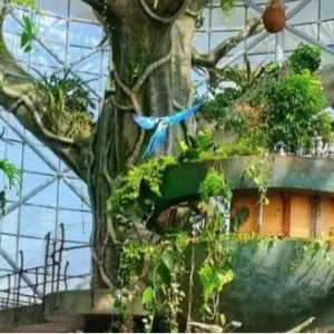 The Green Planet Dubai