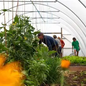 Eco-Walk Community Garden