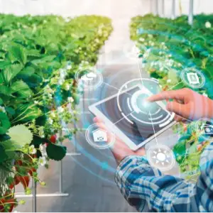 Dubai Agricultural Innovation Centre