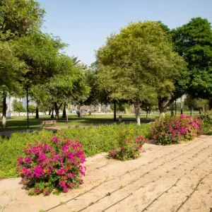 Al Safa Community Garden