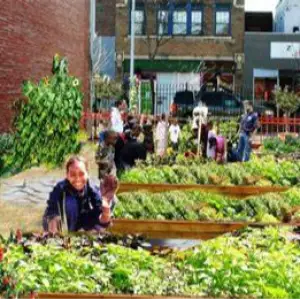 The Sustainable City Community Garden