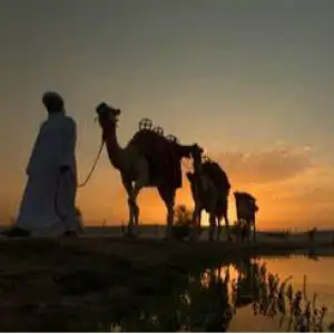 Al Marmoom Desert Conservation Reserve