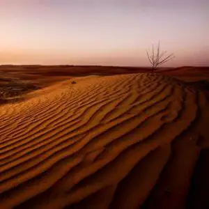 Liwa Desert
