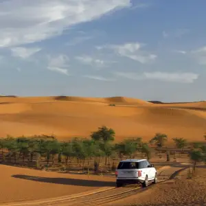 Dubai Desert Conservation Reserve