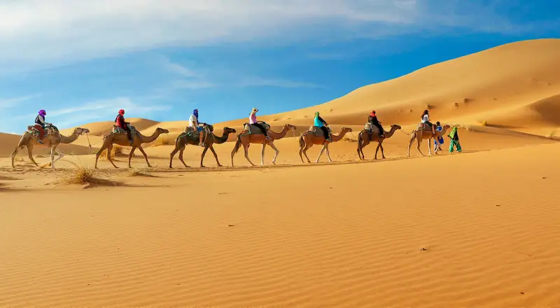 Top 10 Desert Safari Experiences for Nature Lovers in Dubai