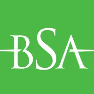 BSA Ahmad Bin Hezeem & Associates LLP