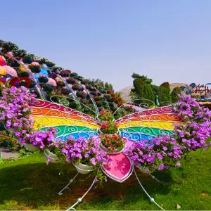 Dubai Butterfly Garden