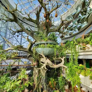 Green Planet Dubai