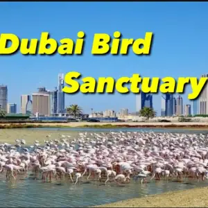 Ras Al Khor Wildlife Sanctuary