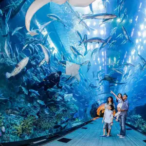 Dubai Mall’s Dubai Aquarium & Underwater Zoo