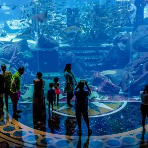 Atlantis, The Palm – The Lost Chambers Aquarium
